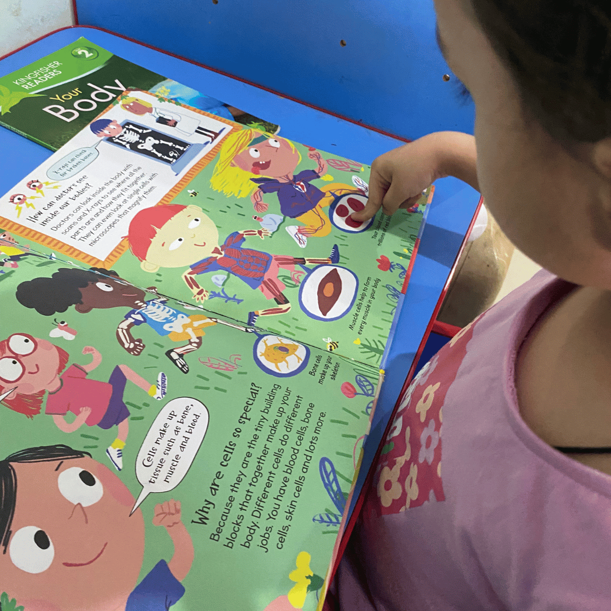 preschool books about human body