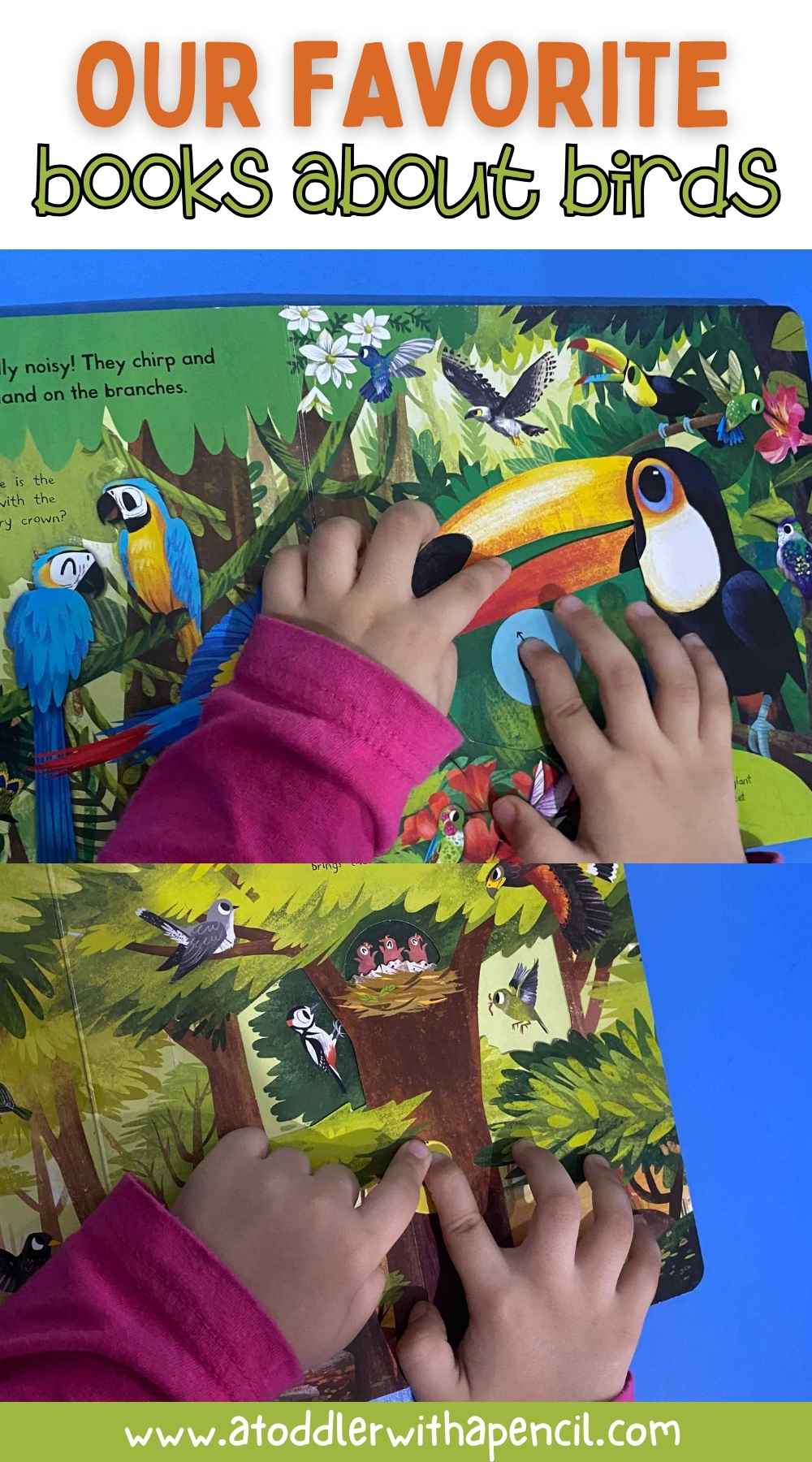 Pinterest Hidden Image