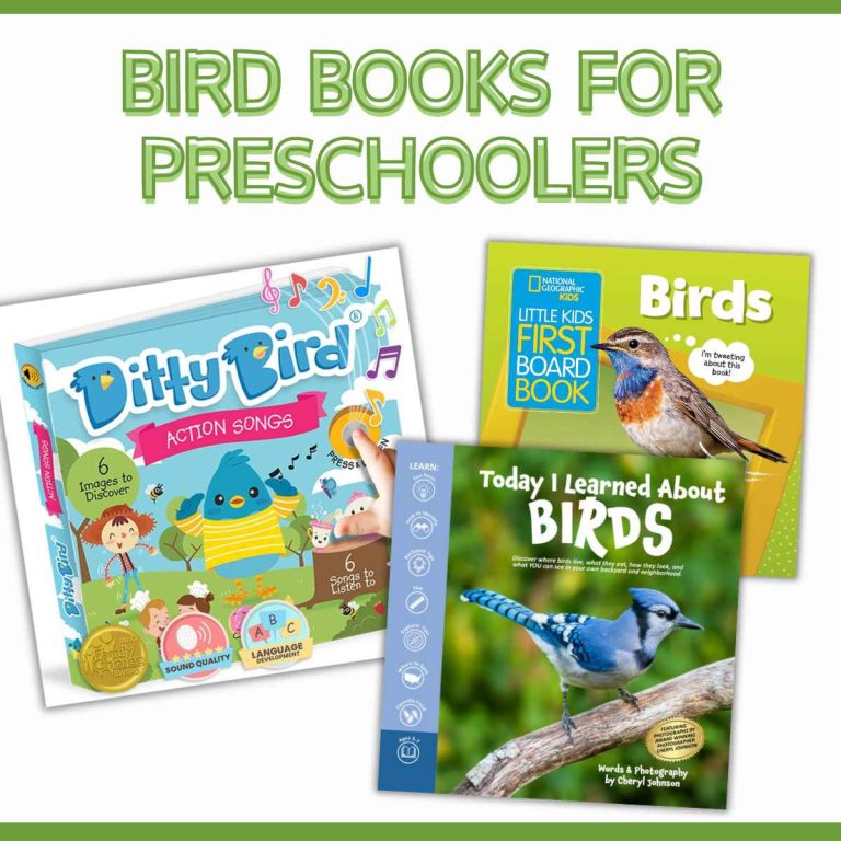 Preschool Bird Books