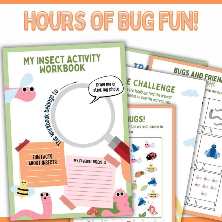 Insect Activity Worksheets