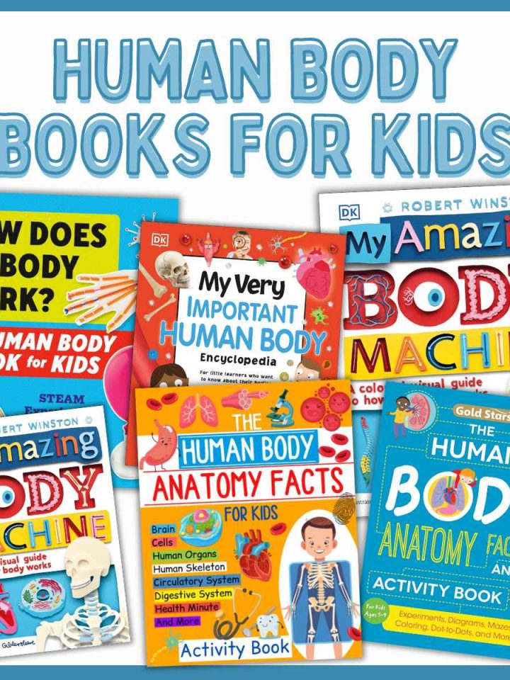 Rainforest Books for Kids - A Toddler With a Pencil