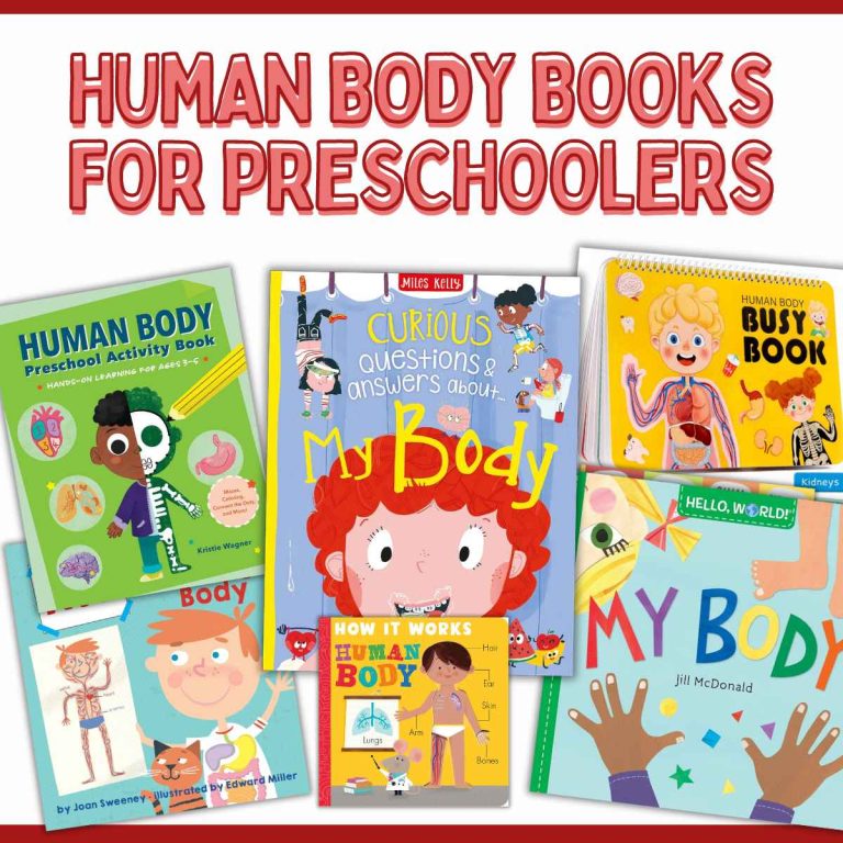 Preschool Books About Human Body