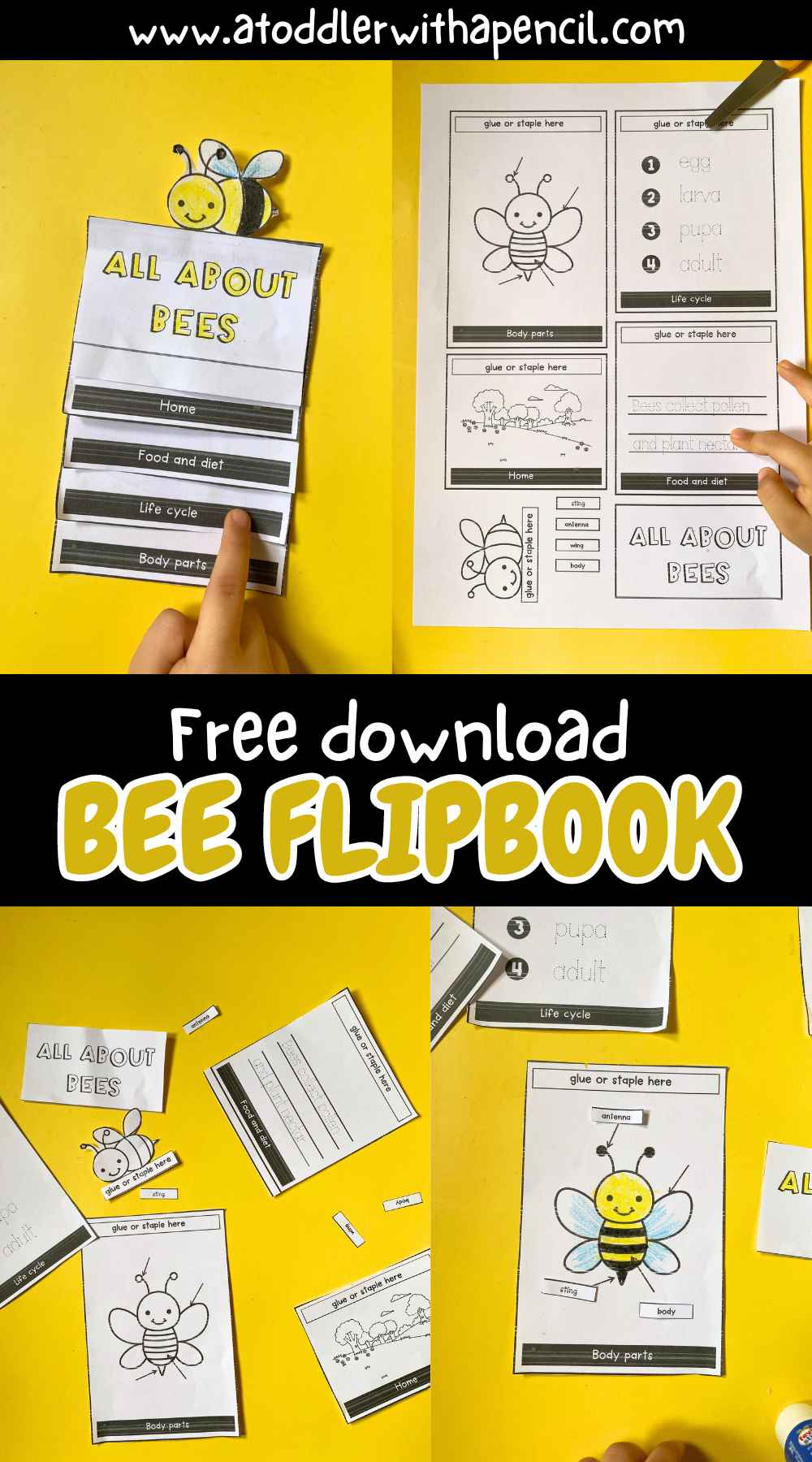 Pinterest Hidden Image