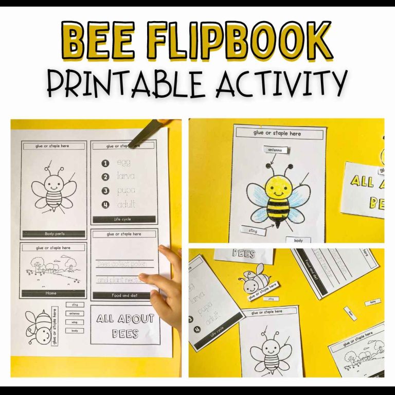 Bee Life Cycle Flipbook